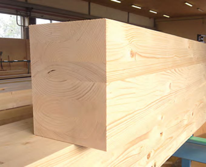 Varietà di specie e dimensioni del legno